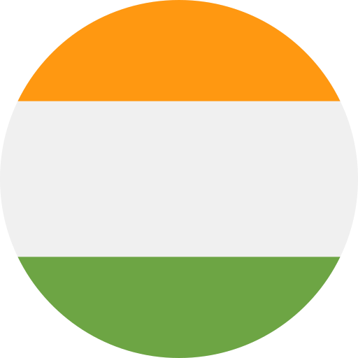 INR icon